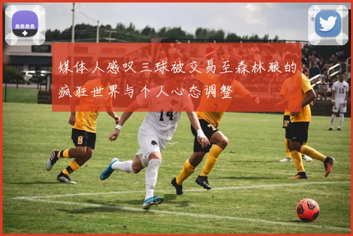 媒体人感叹三球被交易至森林狼的疯狂世界与个人心态调整